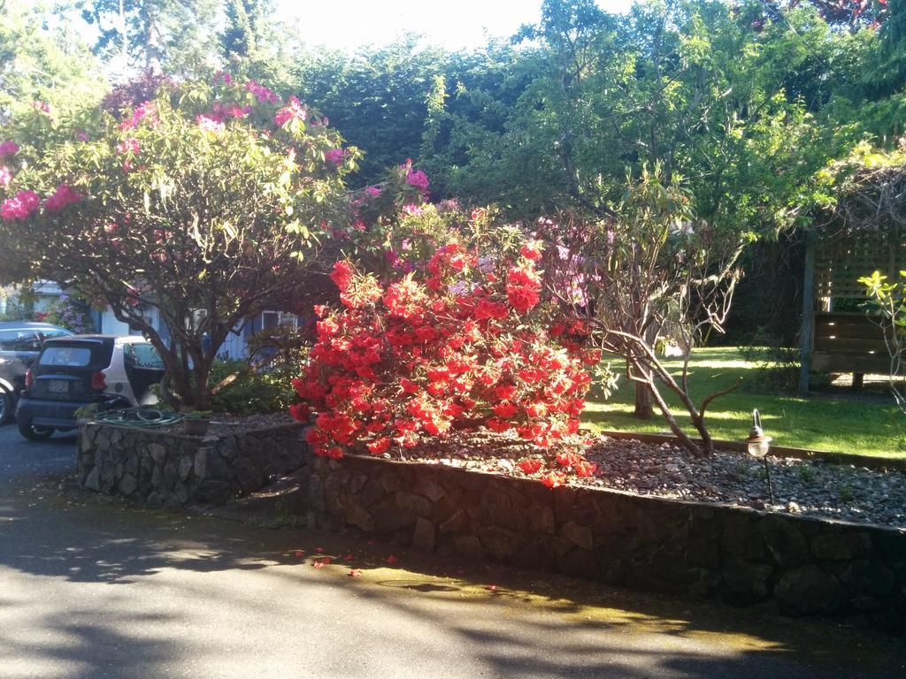 Salty Towers Ocean Front Guest house 4*